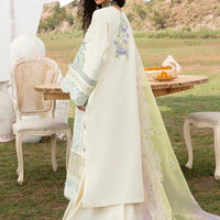 BIN ILYAS – Designer Inspired Lawn